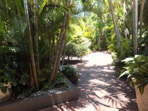 Garden - St. Lucia Kingfisher Lodge (St. Lucia)