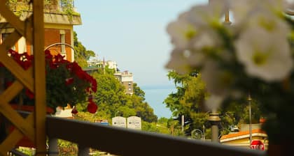 The Night Guest House Sorrento