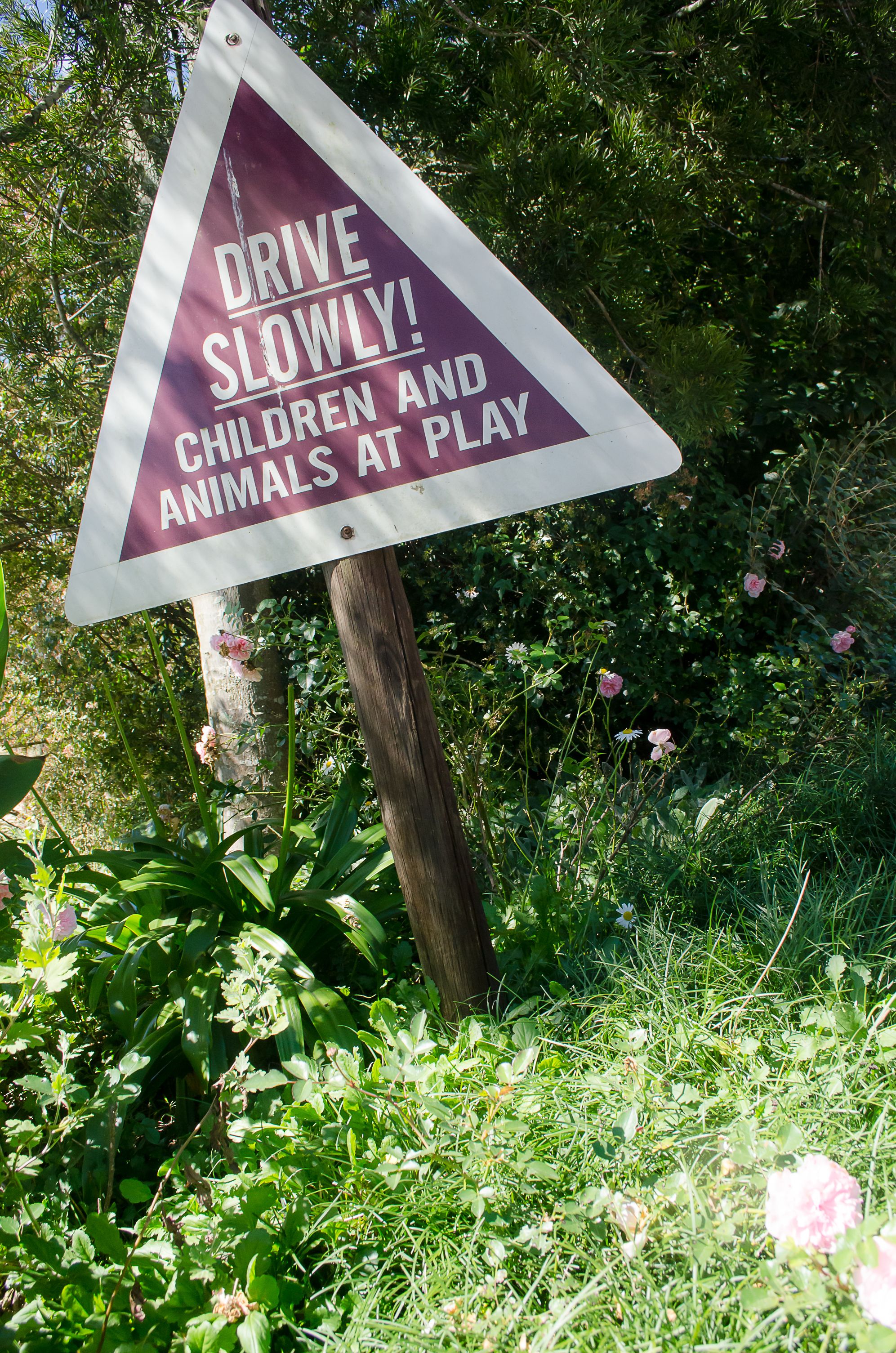 A triangular warning sign with the text "DRIVE SLOWLY! CHILDREN AND ANIMALS AT PLAY" in a natural setting with greenery and flowers.