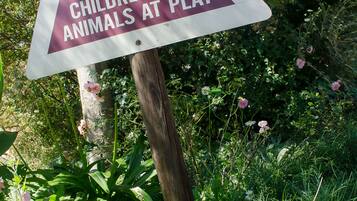 A triangular warning sign with the text "DRIVE SLOWLY! CHILDREN AND ANIMALS AT PLAY" in a natural setting with greenery and flowers.