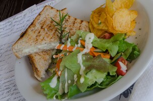 A plate with a grilled sandwich, a salad with carrots and lettuce, and potato chips.