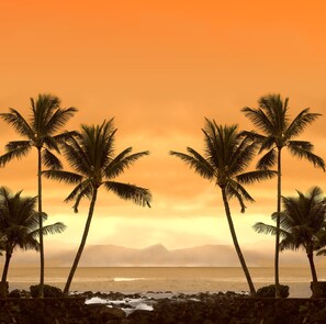 Hiking - Chaves - Vacation Home (Port Charlotte)