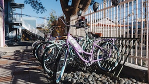Une rangée de vélos est stationnée sur un trottoir pavé de pierres, à côté d’une clôture blanche.