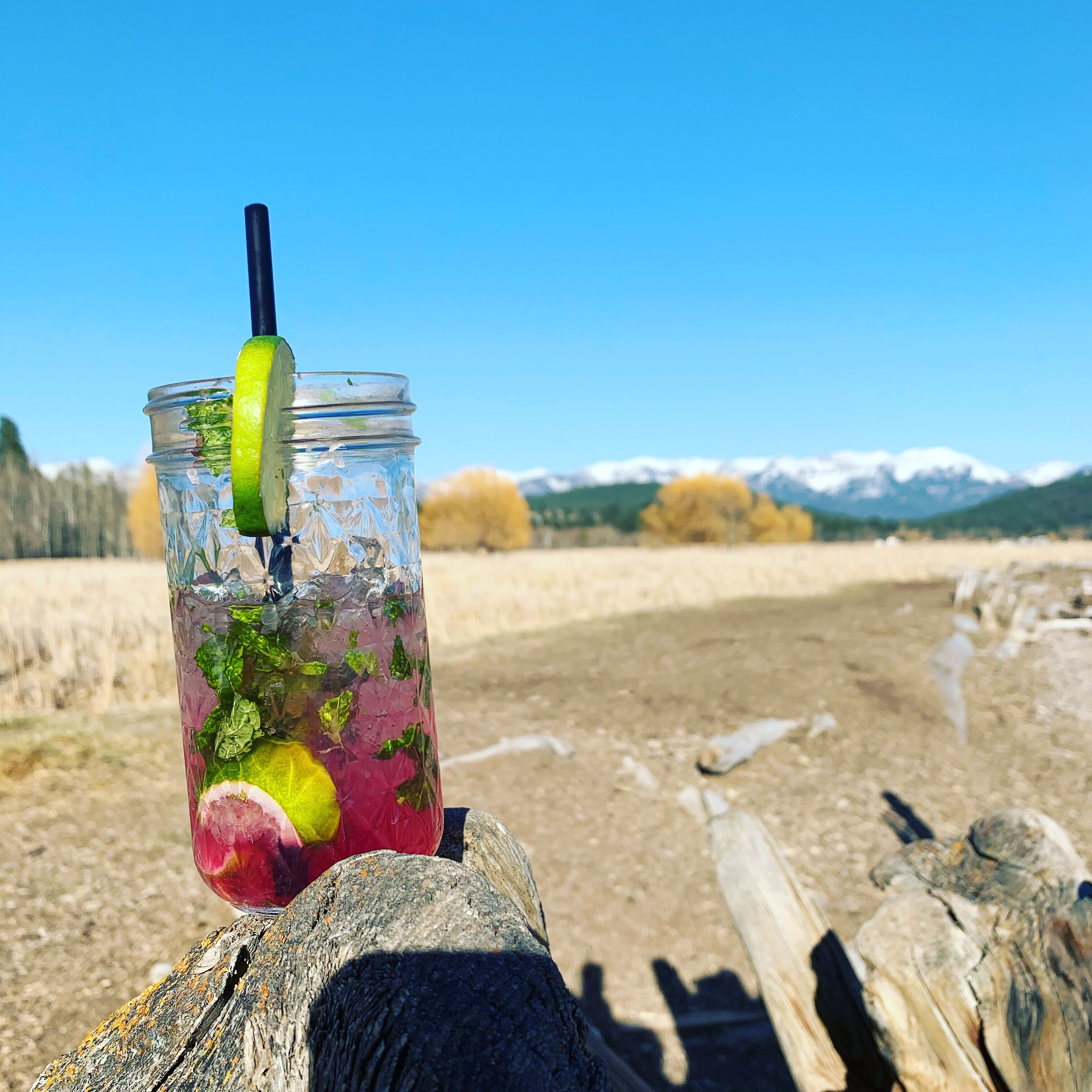 A glass with a lime wedge and mint leaves, placed on a wooden surface with a mountainous landscape in the background.