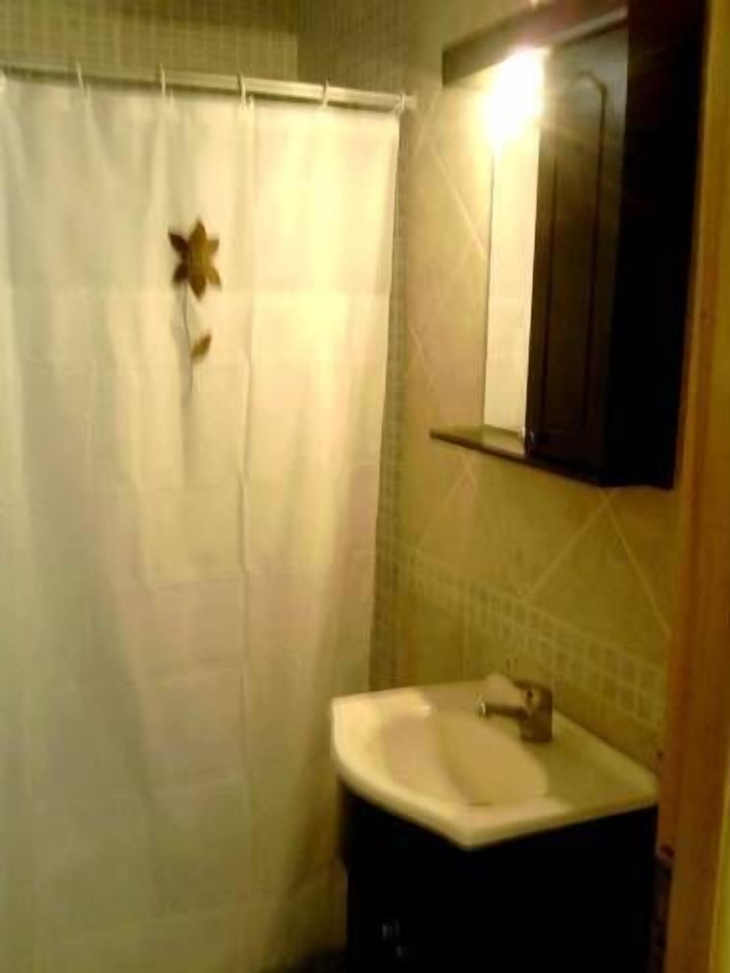 Un baño con cortina de ducha, un lavabo y un espejo encima.