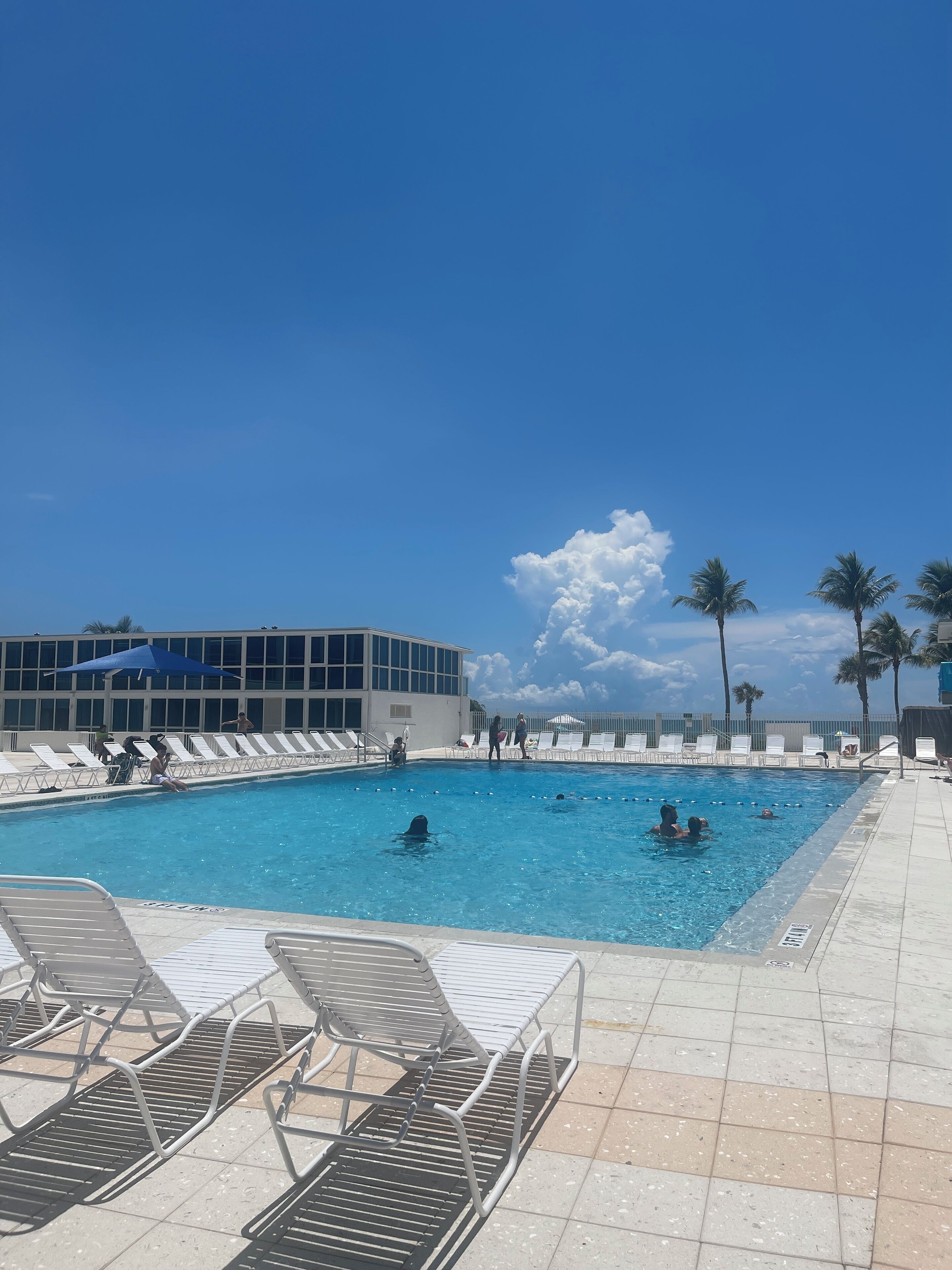 A swimming pool with lounge chairs and palm trees in the background.