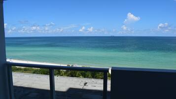 Vista desde la habitación