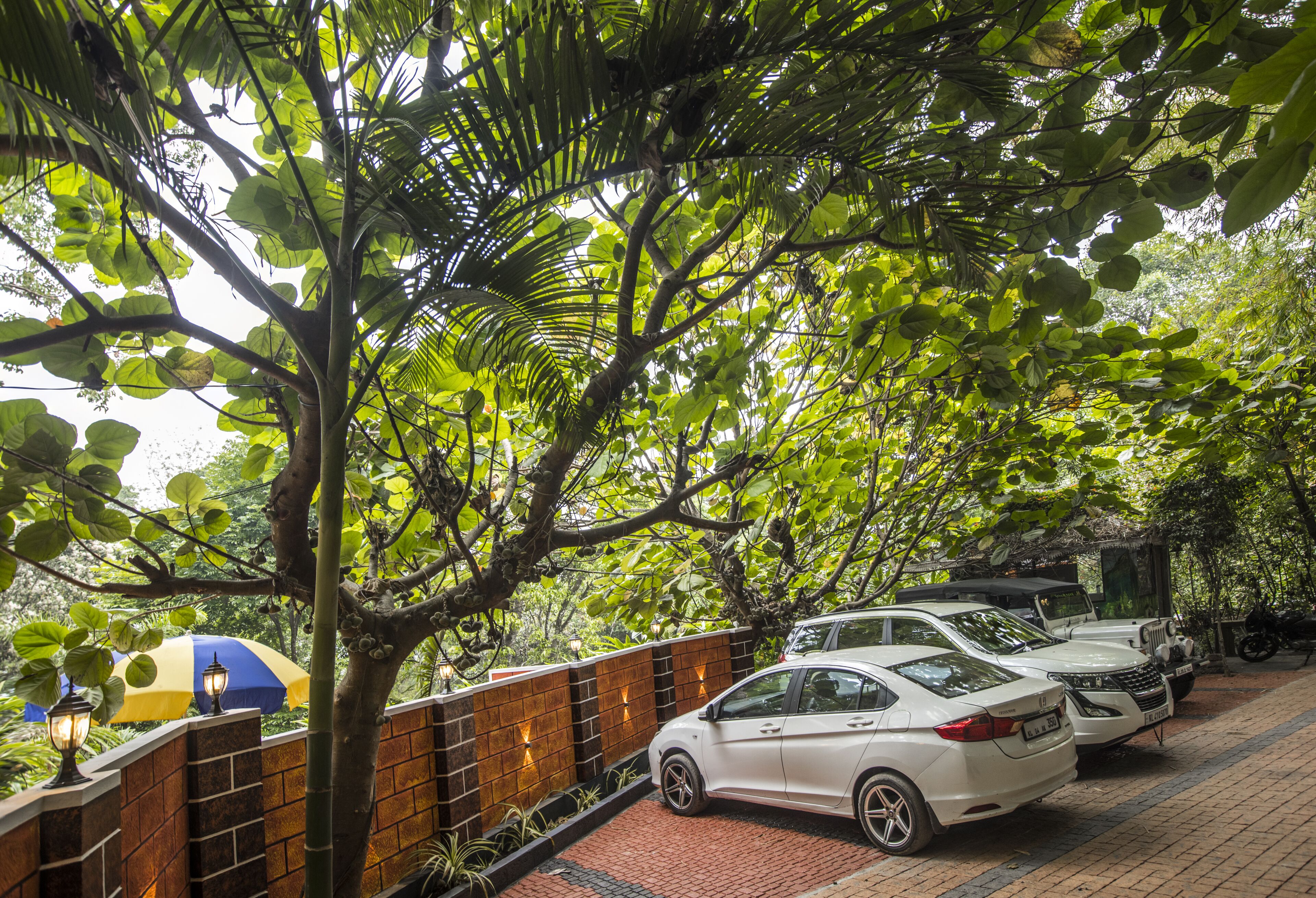 A covered parking area with cars, a brick wall, and a tree providing shade.