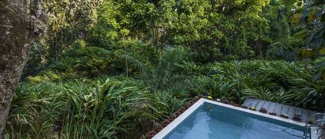 A swimming pool surrounded by lush greenery and trees.