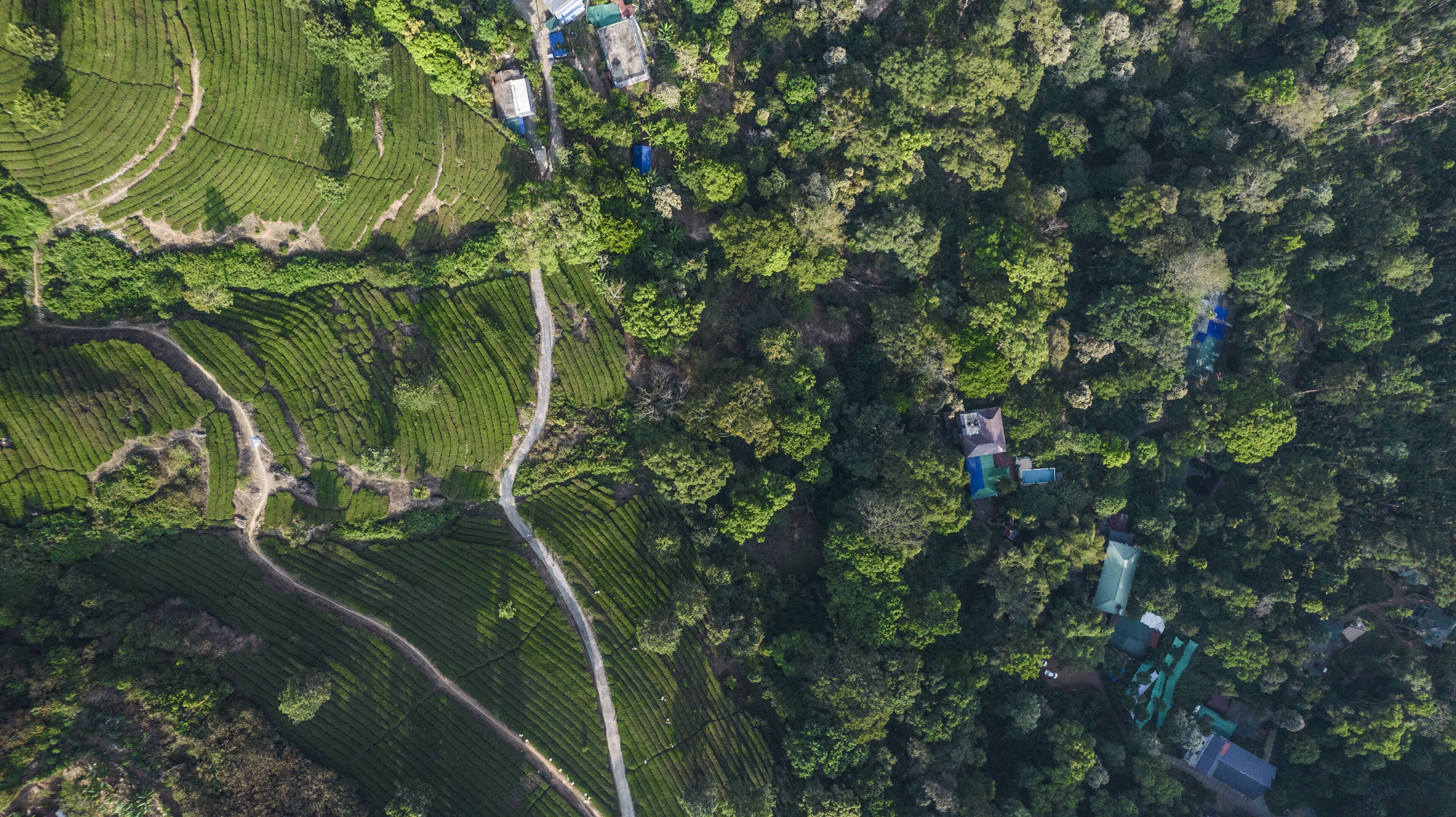 An aerial view of a rural area with terraced fields and scattered buildings.