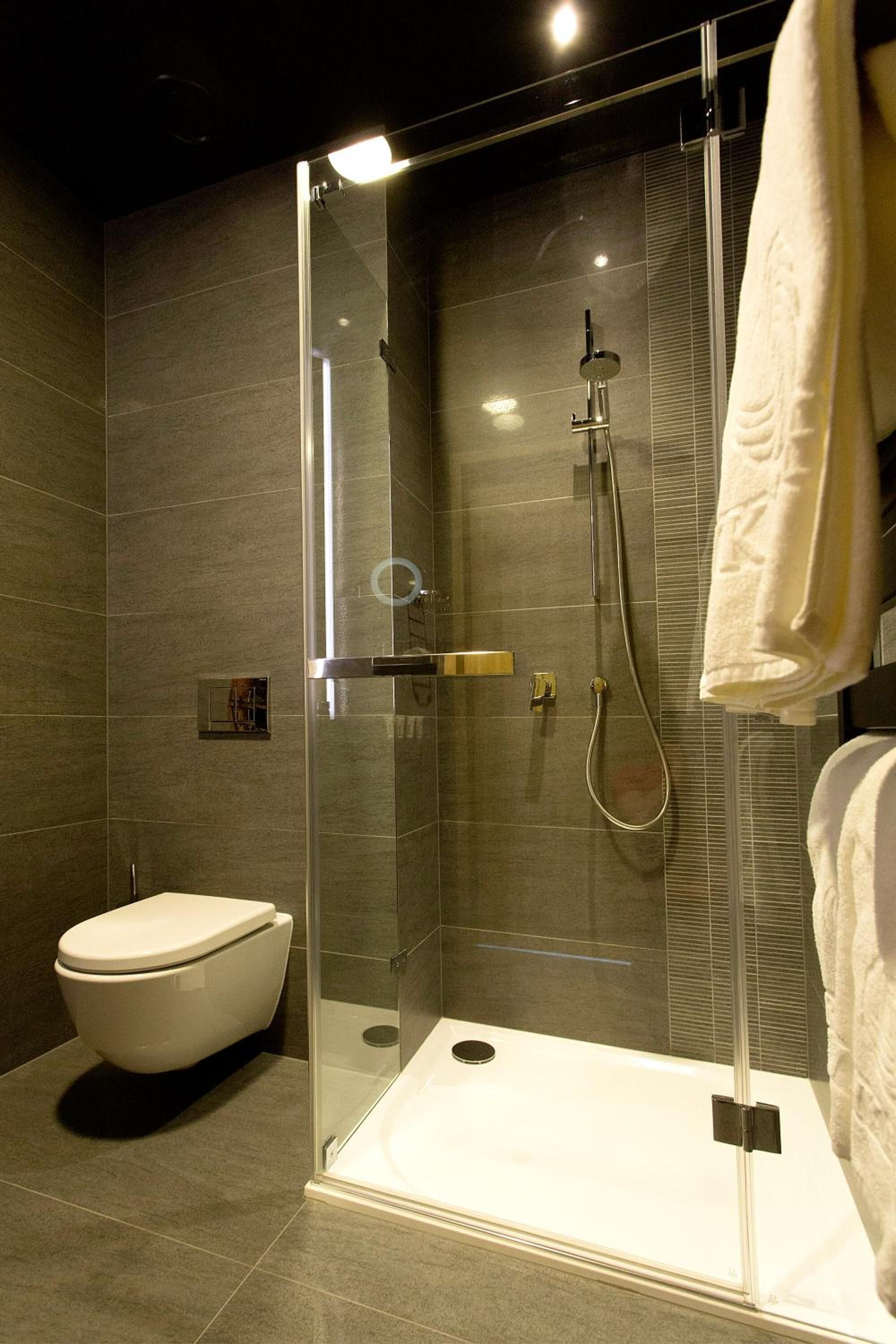 shower, free toiletries, hair dryer, slippers