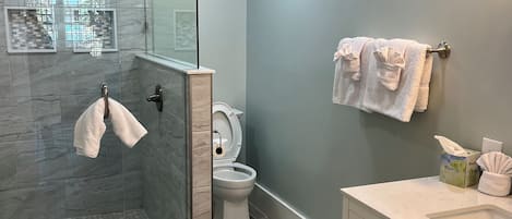 A modern bathroom with a glass-enclosed shower, a toilet, and a vanity with a sink.