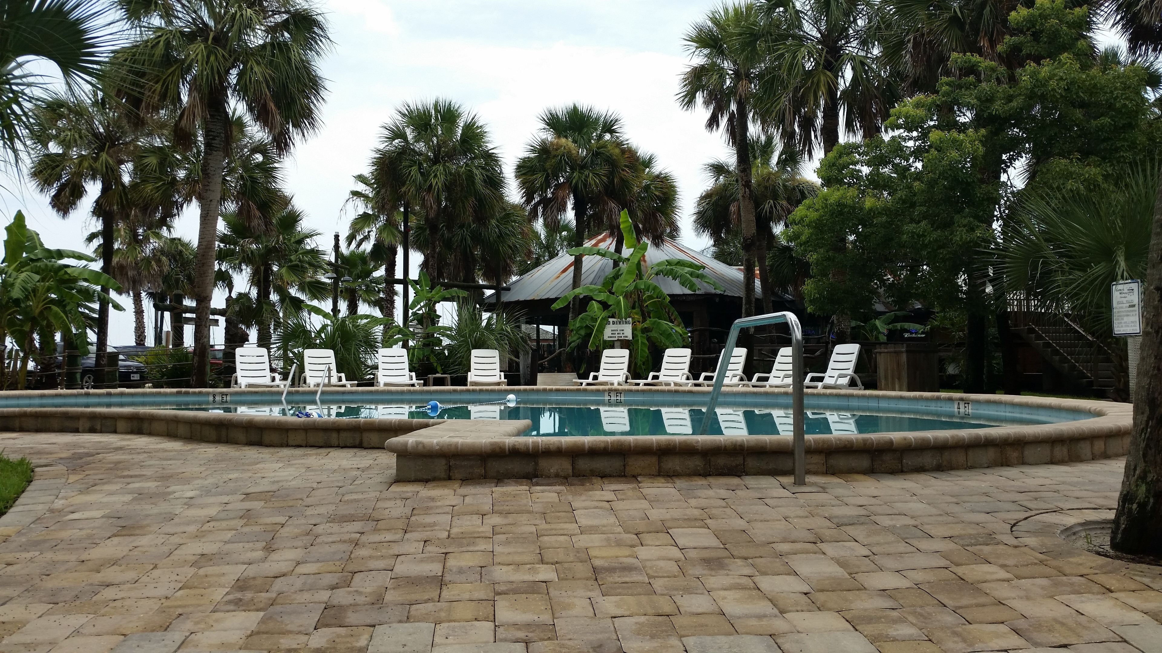 A pool area with lounge chairs and palm trees.