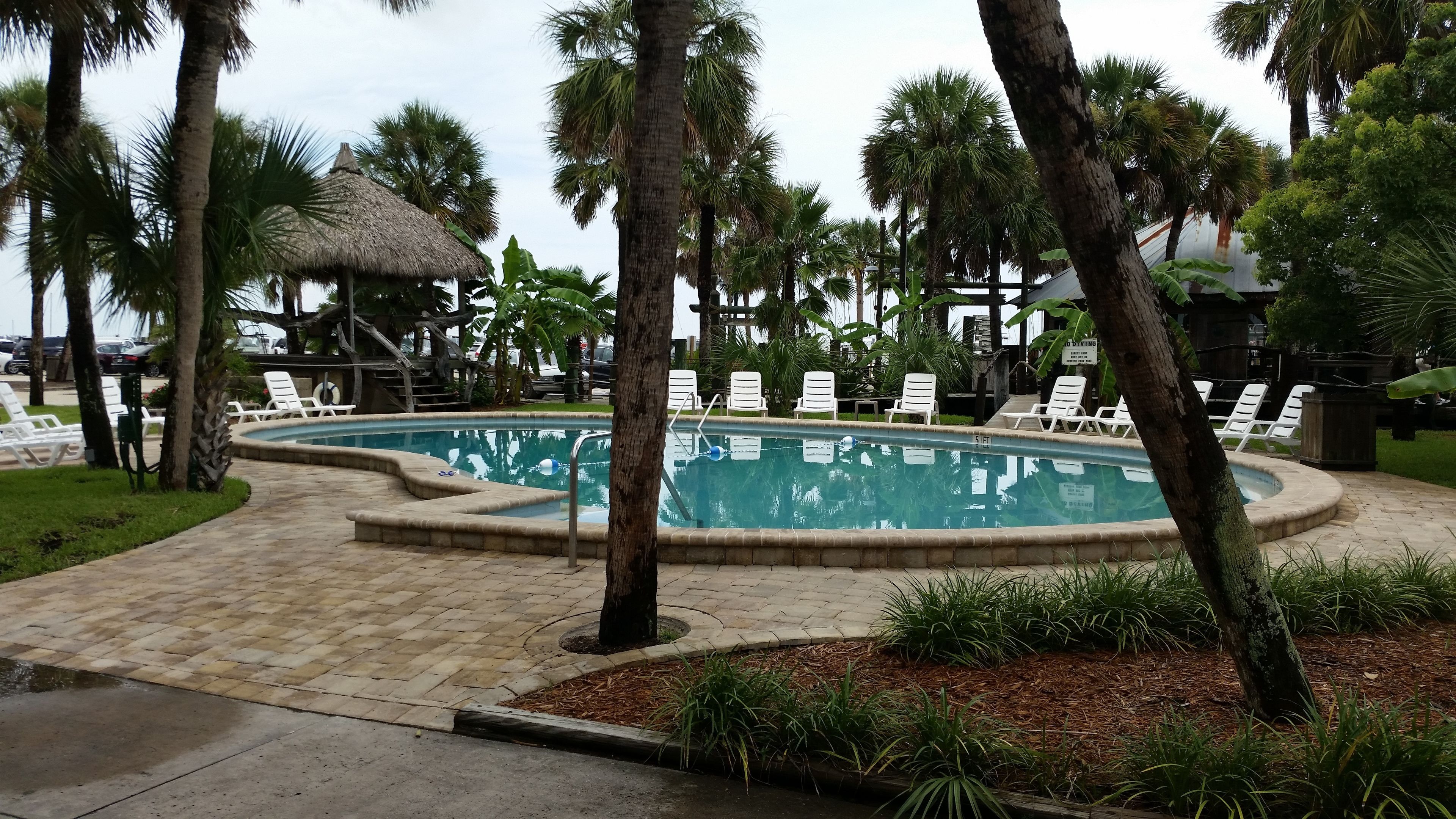 A swimming pool surrounded by palm trees and lounge chairs.