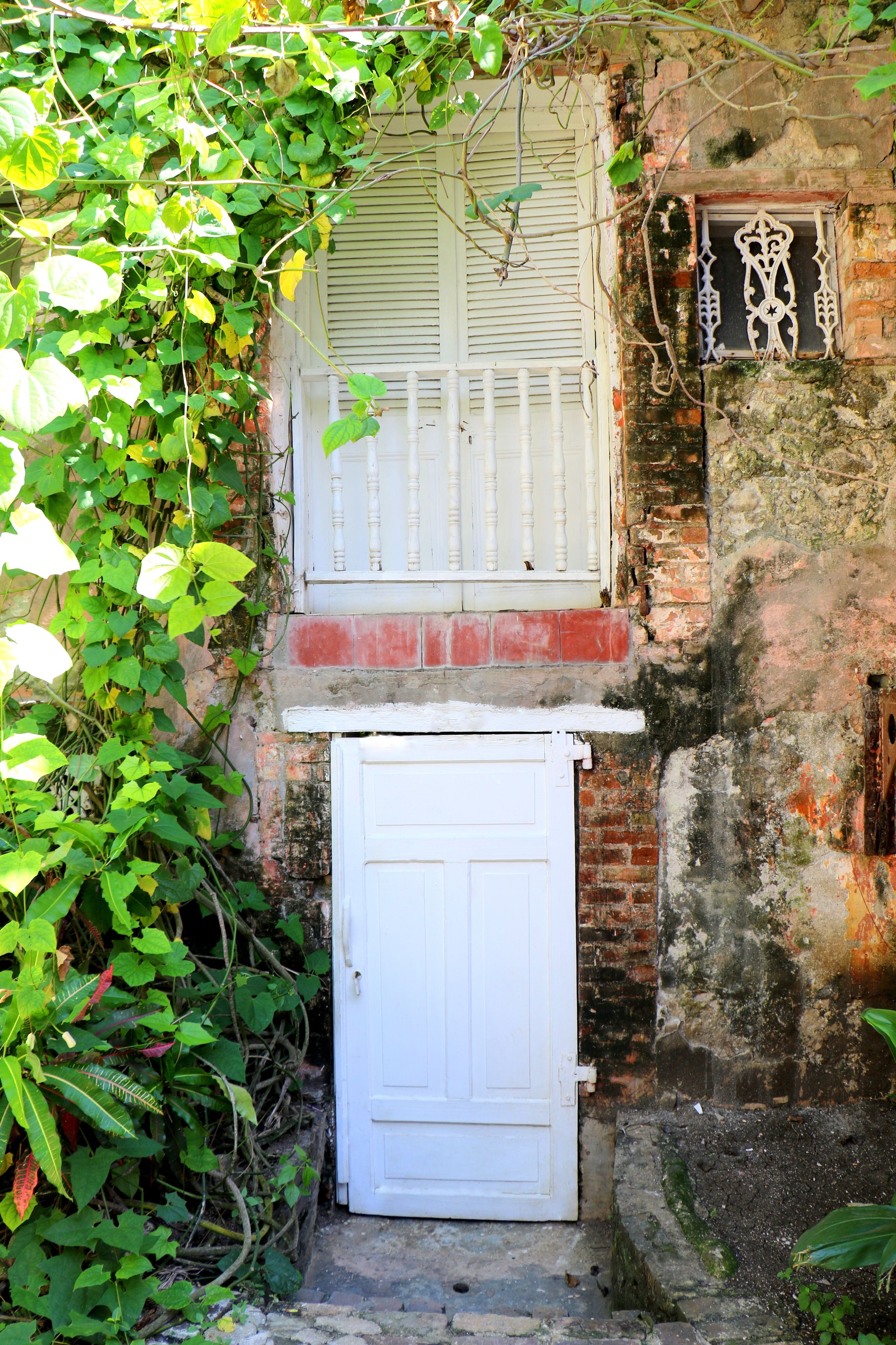 Photo - hotel florita