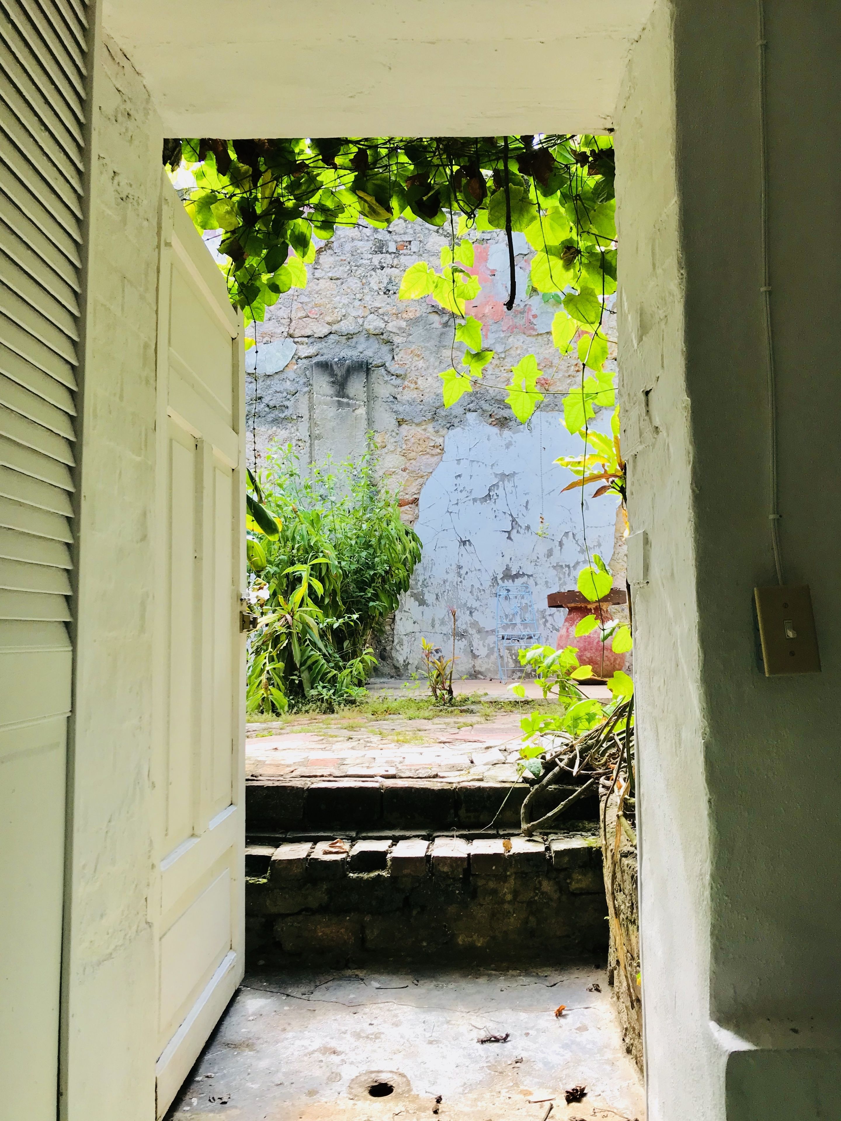 Photo - hotel florita