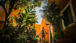 Un patio con un sendero de piedra, rodeado de abundante vegetación y paredes anaranjadas.