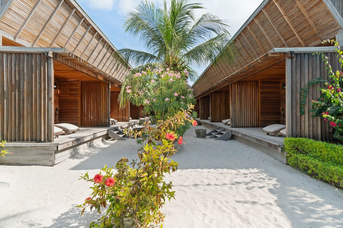 A resort with two wooden villas, each with a balcony and a view of the palm tree.