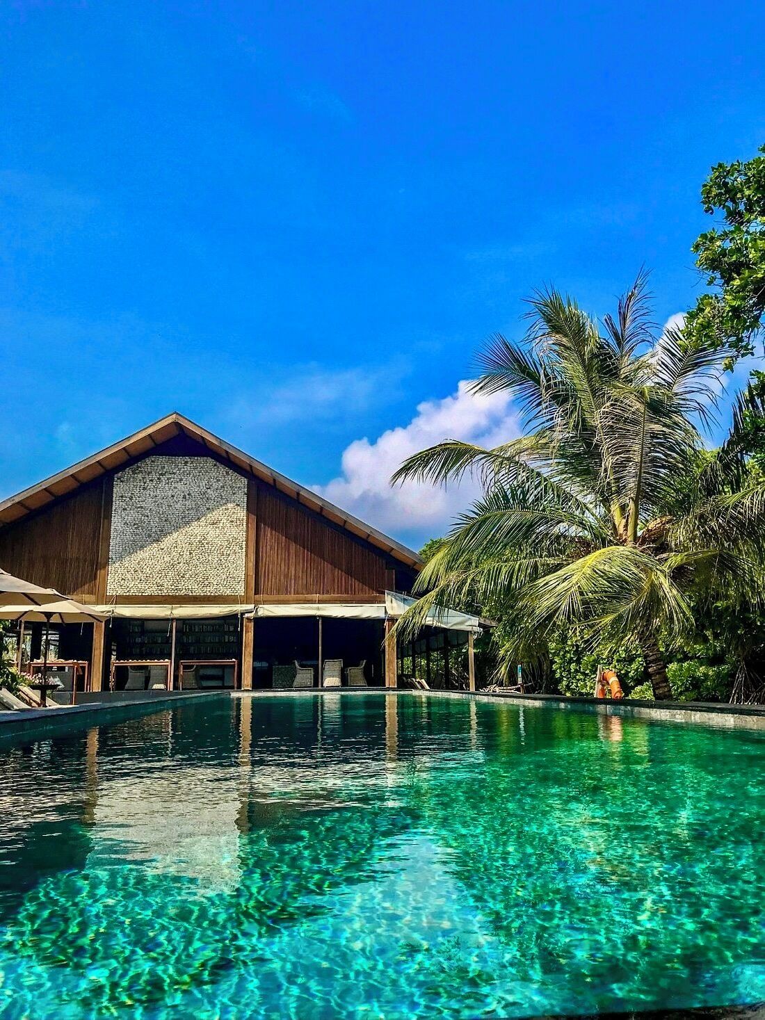 Outdoor pool, pool umbrellas, sun loungers