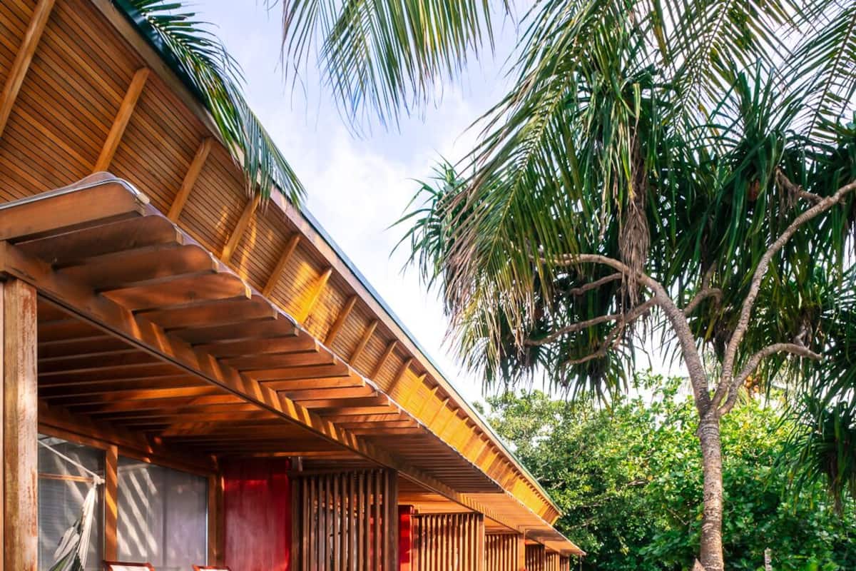 A wooden building with a covered porch, a palm tree, and a sandy ground.