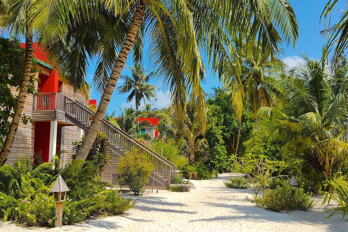 A tropical resort with a wooden staircase leading to a red-roofed building, surrounded by lush greenery and palm trees.