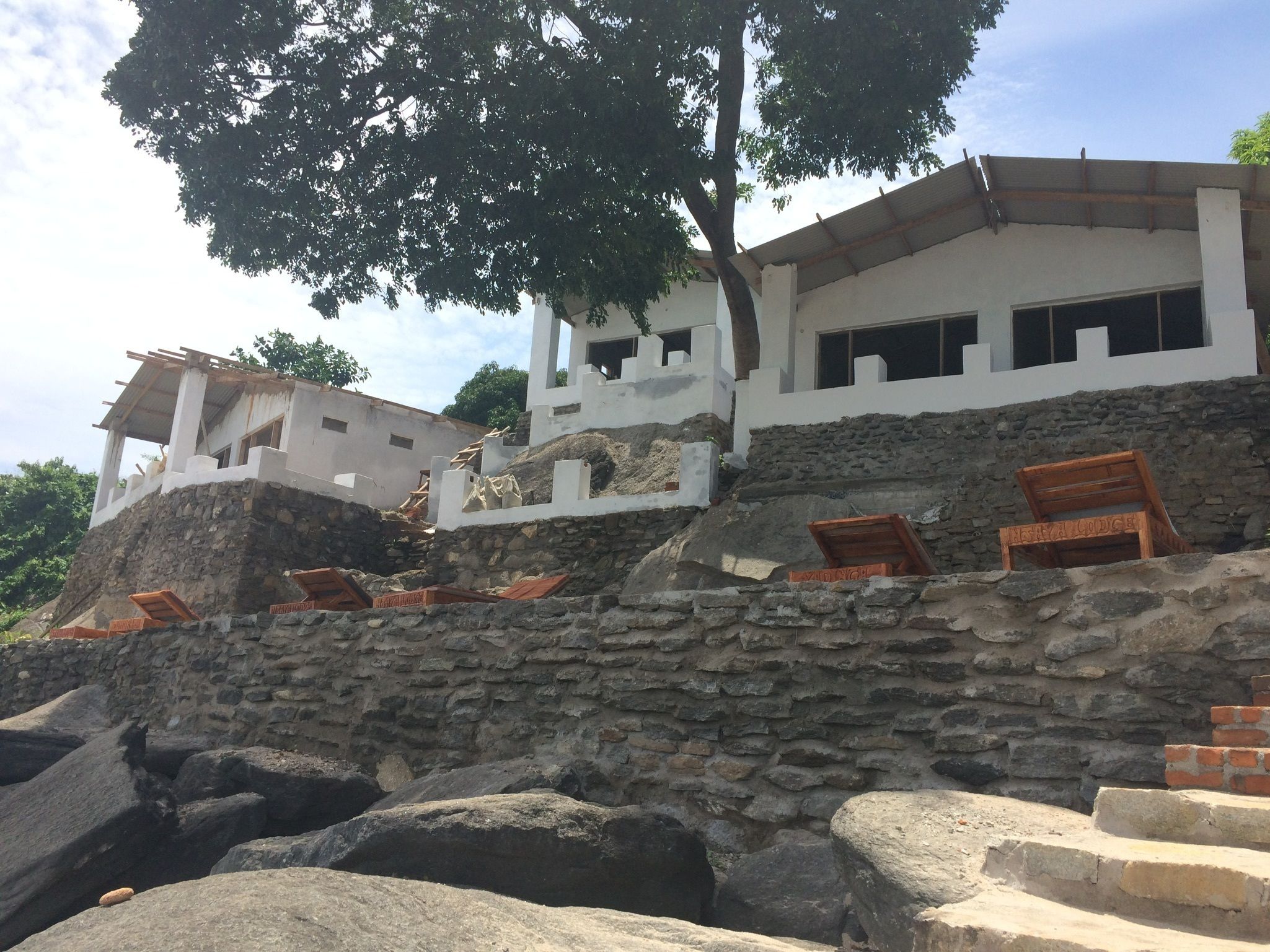 Una escalera de piedra lleva a un edificio blanco con numerosas ventanas y un árbol encima.