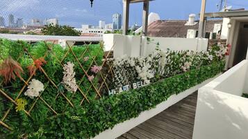 Family Room | Terrace/patio