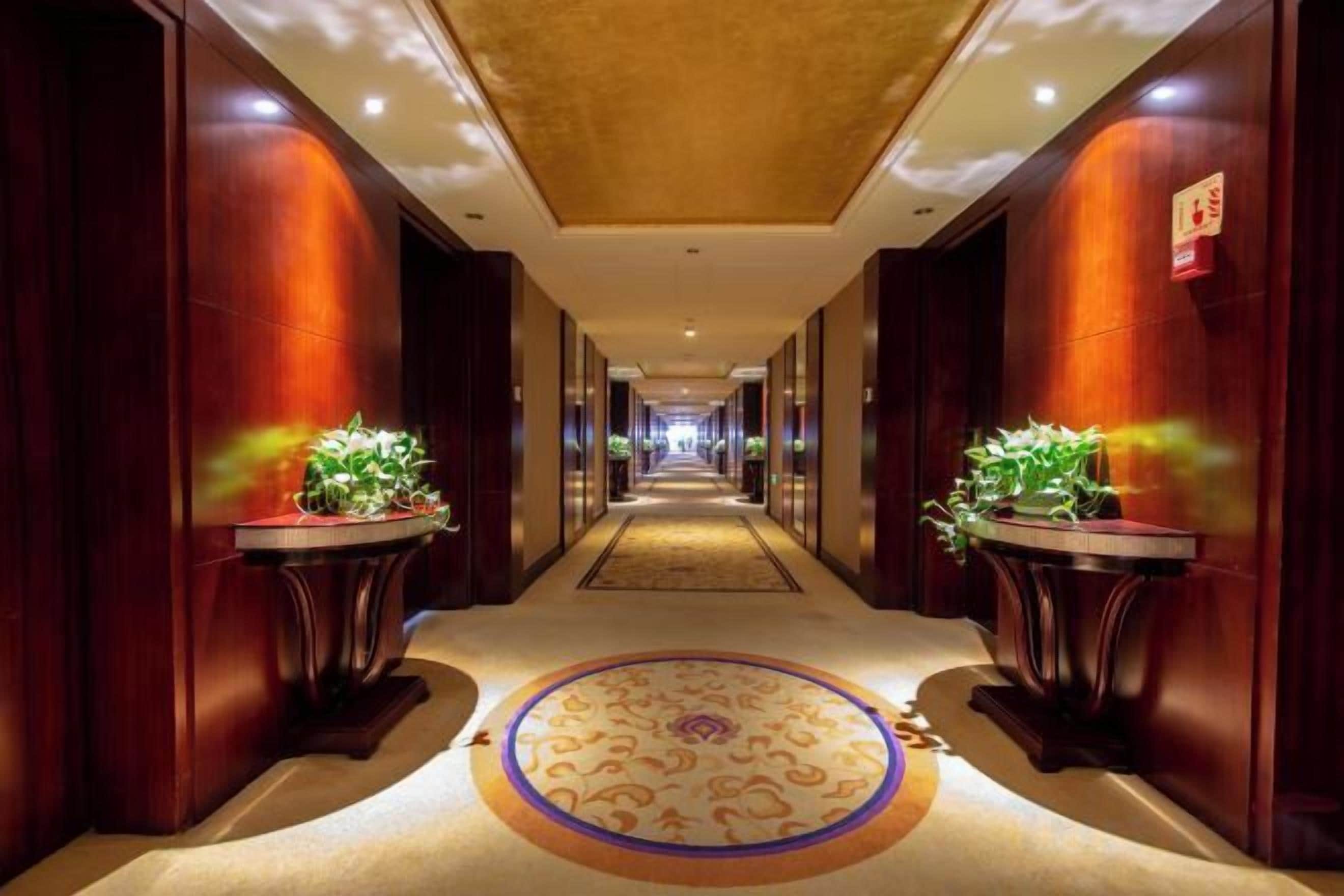 A hotel corridor with a carpeted floor, wooden walls, and two potted plants on either side.