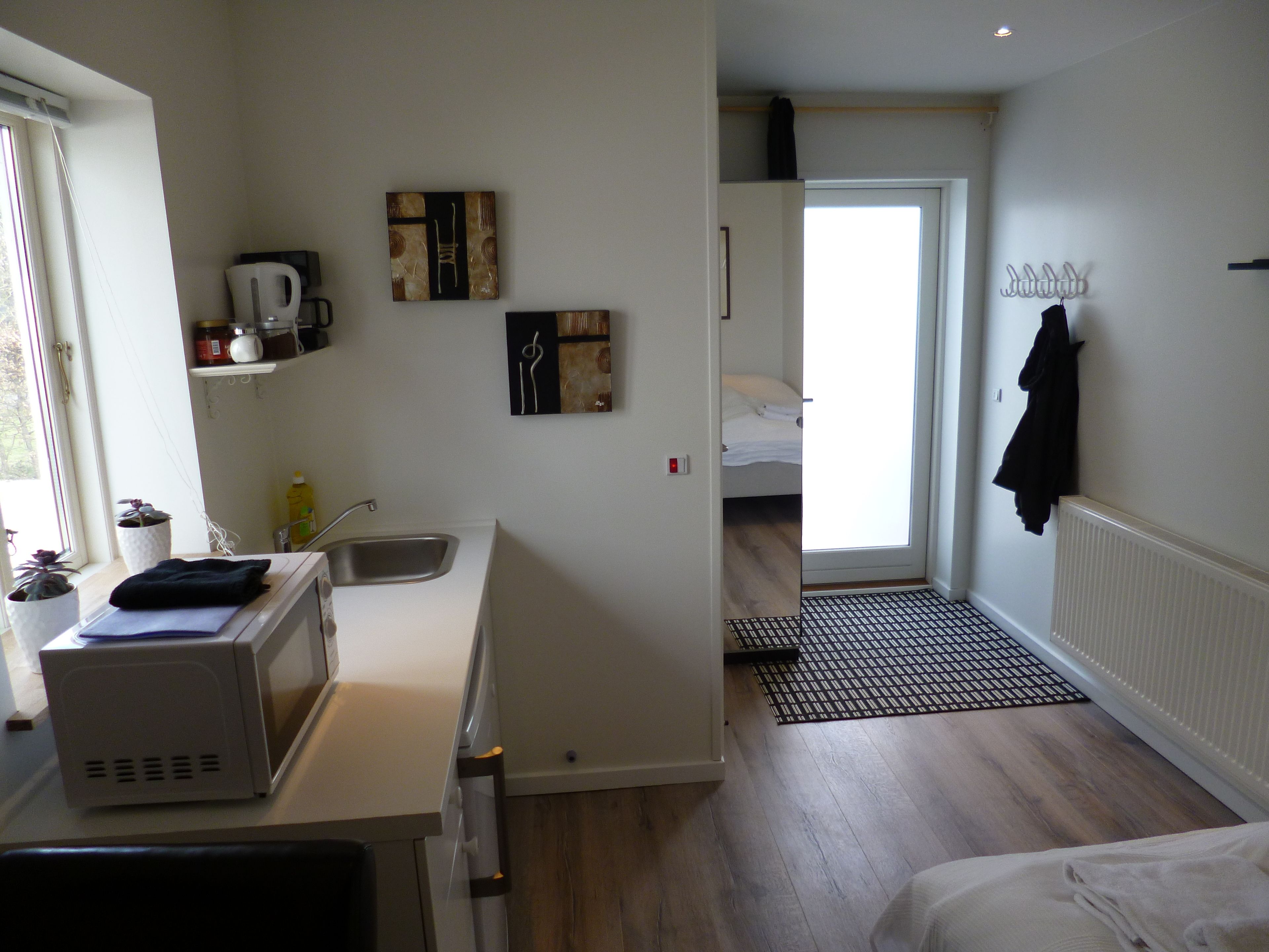 A compact kitchen with a microwave, kettle, and sink. There's a small shelf with jars and a potted plant. A bed is visible in the adjacent room, with a black jacket hanging on the wall.