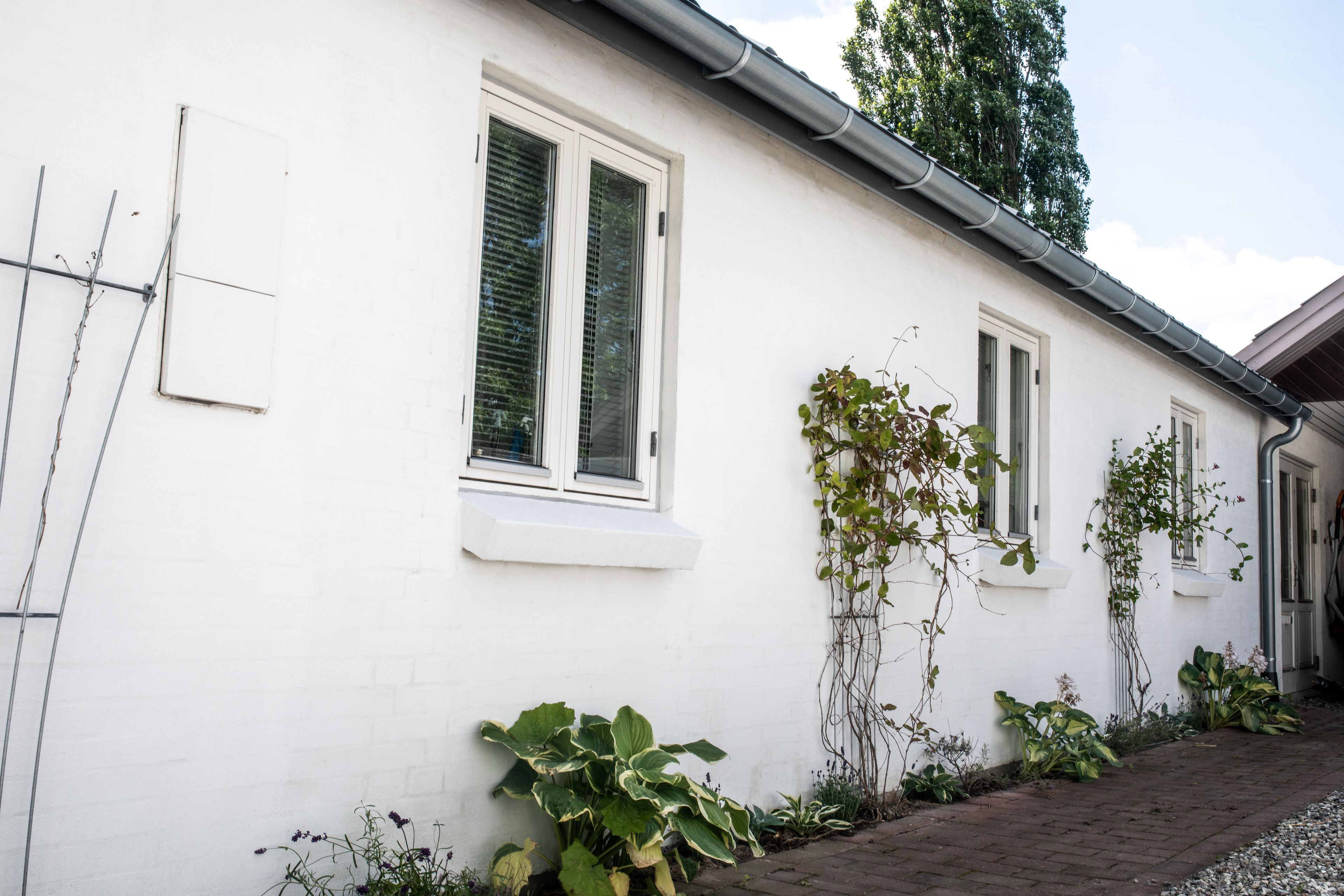 A white building with two windows, a brick pathway, and some greenery.