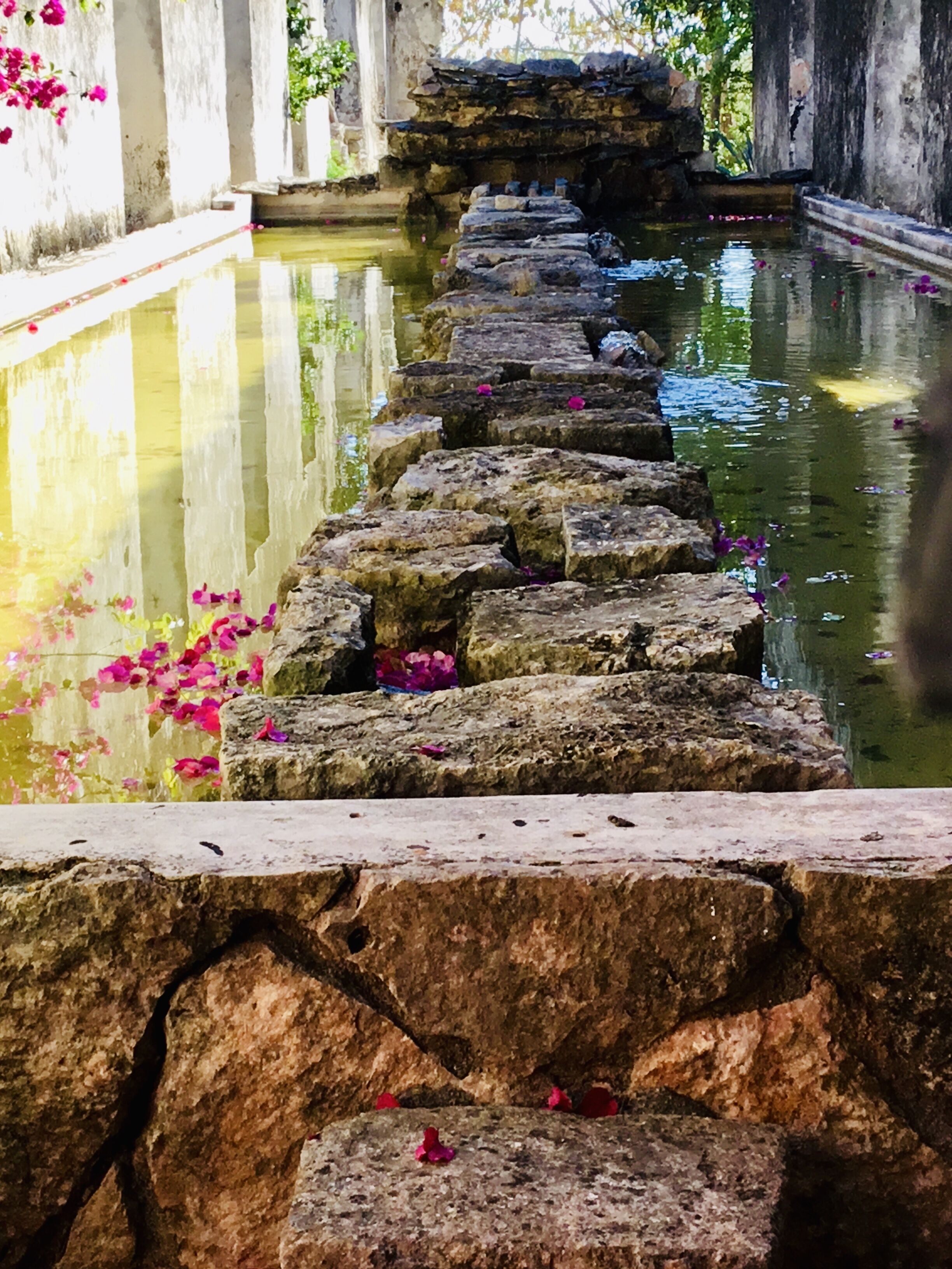 A stone pathway leading through a water feature with steps and flower petals scattered around.