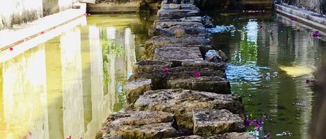 A stone pathway leading through a water feature with steps and flower petals scattered around.