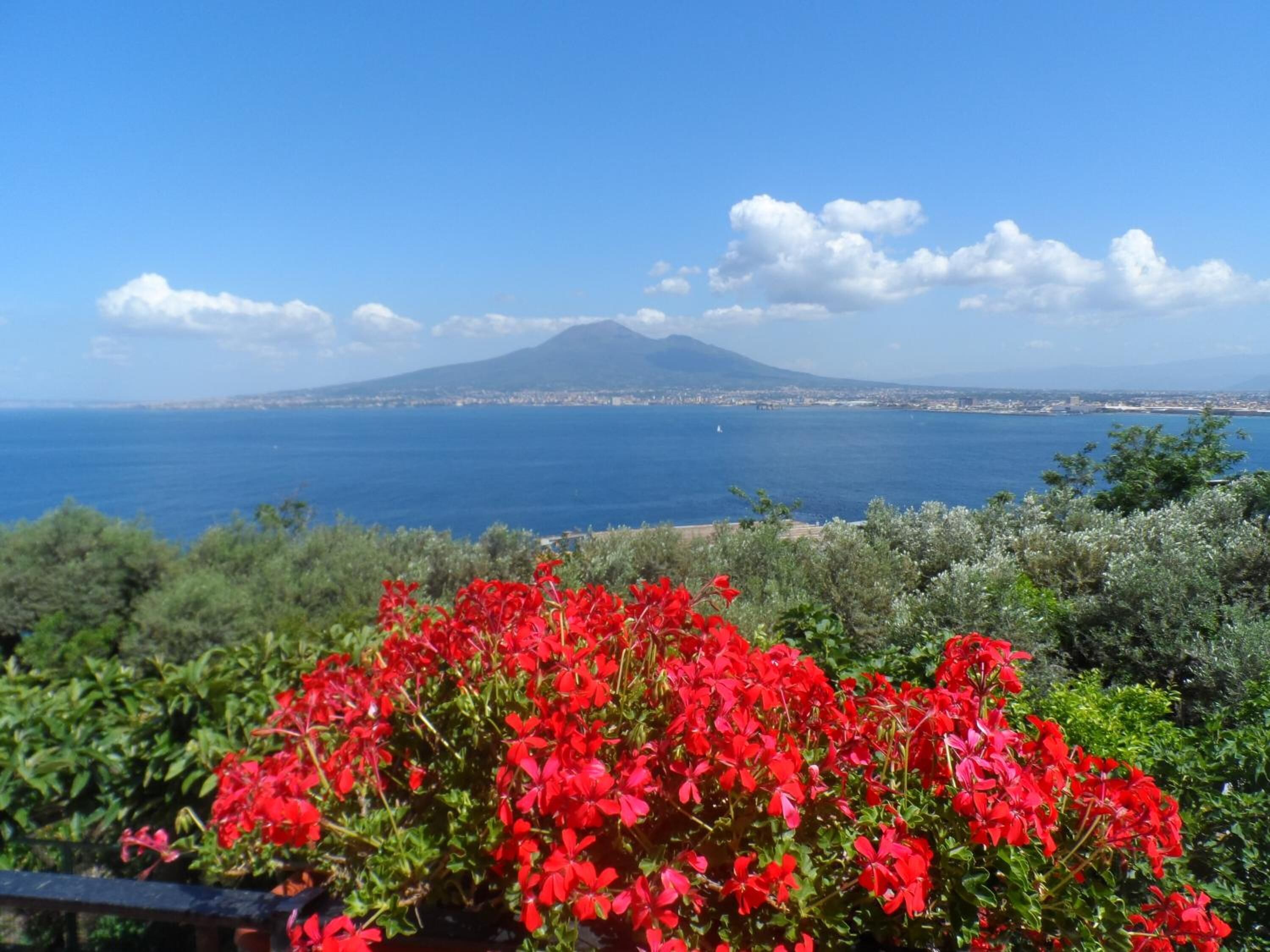 A coastal view with a mountain in the background, lush greenery in the foreground, and a clear blue sky.