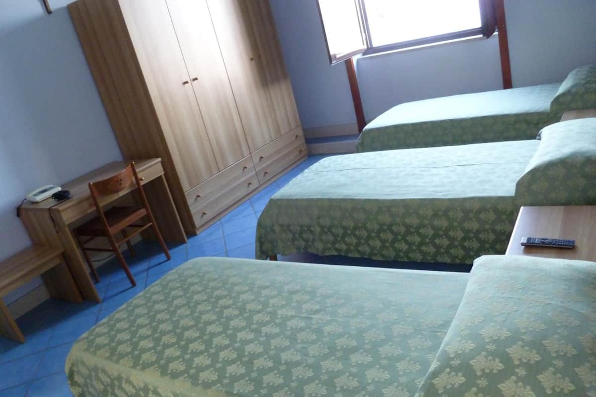 Triple Room | Desk, iron/ironing board, free WiFi, bed sheets