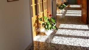Un couloir avec des portes en bois, des tableaux encadrés accrochés au mur et des plantes en pot disposées le long du sol.