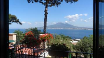 Vista dalla struttura