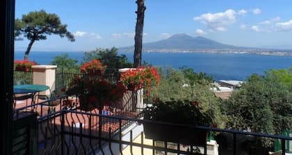 Ancelle Sorrento