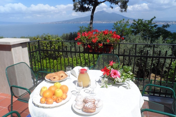 Dagelijks ontbijtbuffet inbegrepen