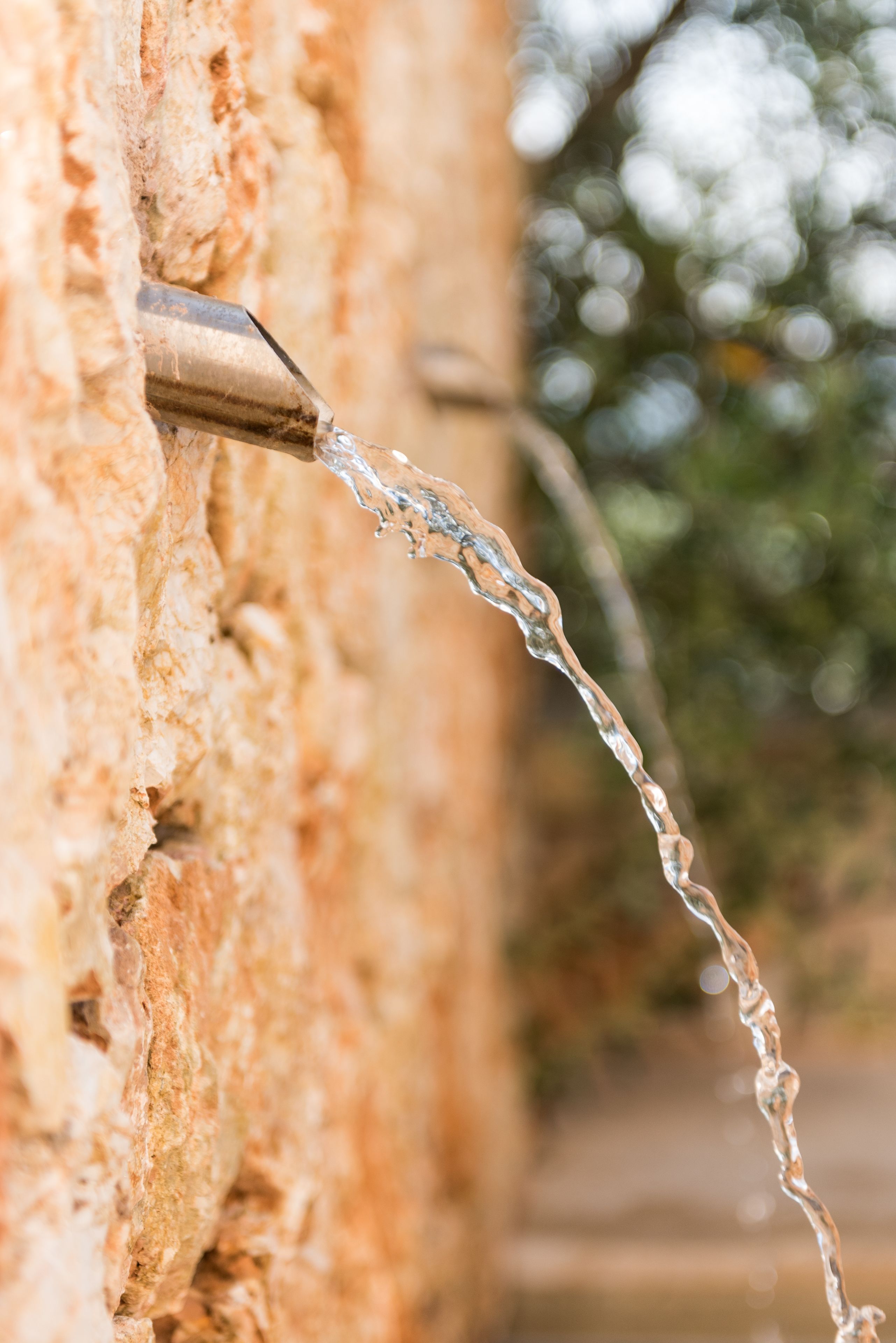 Foto - Cas Cabo Nou Agroturismo Adults Only