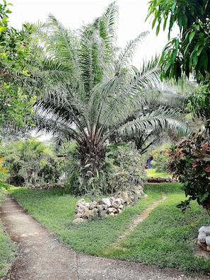 تفاصيل الفندق من الخارج