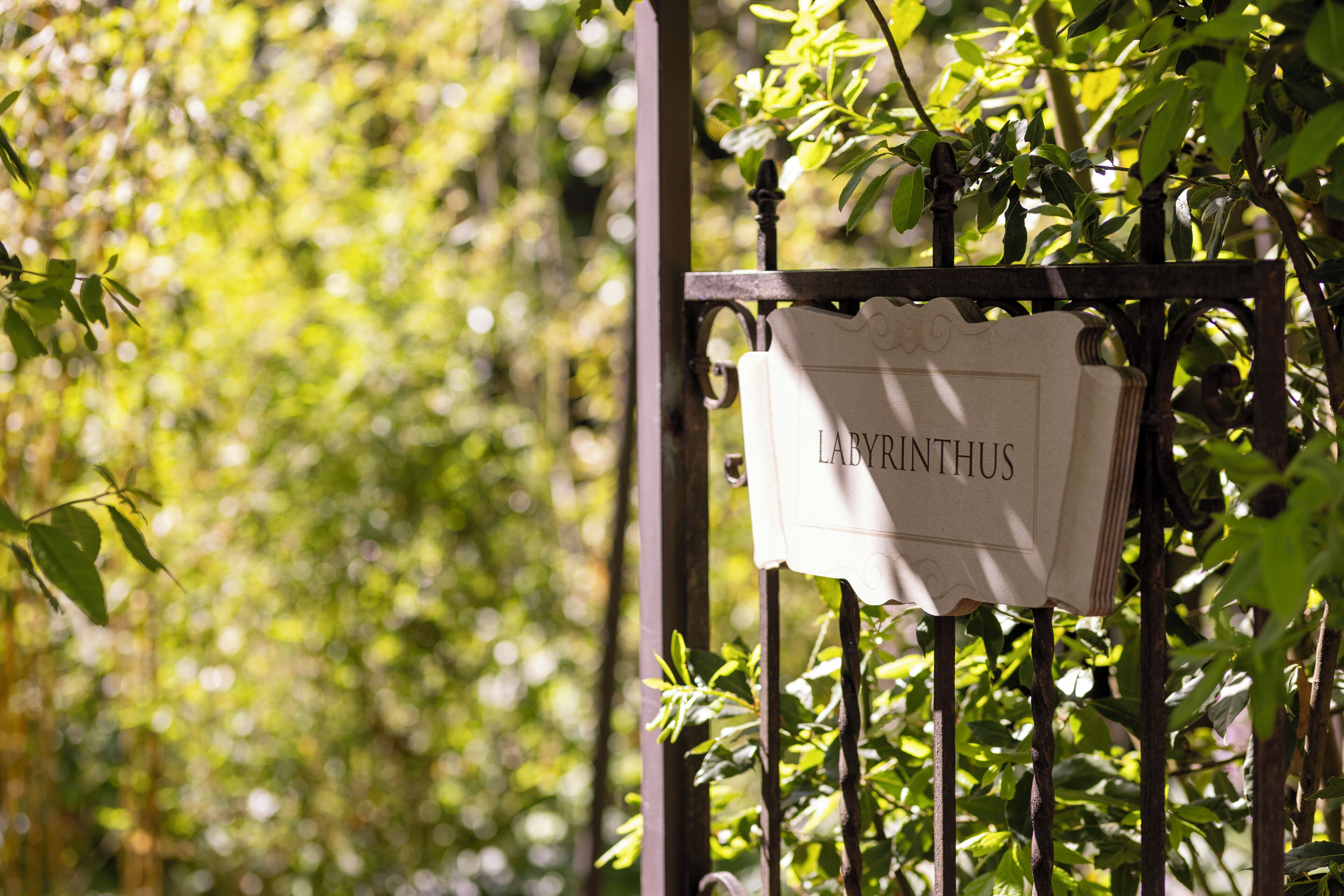couples treatment room(s), sauna, hot tub, steam room