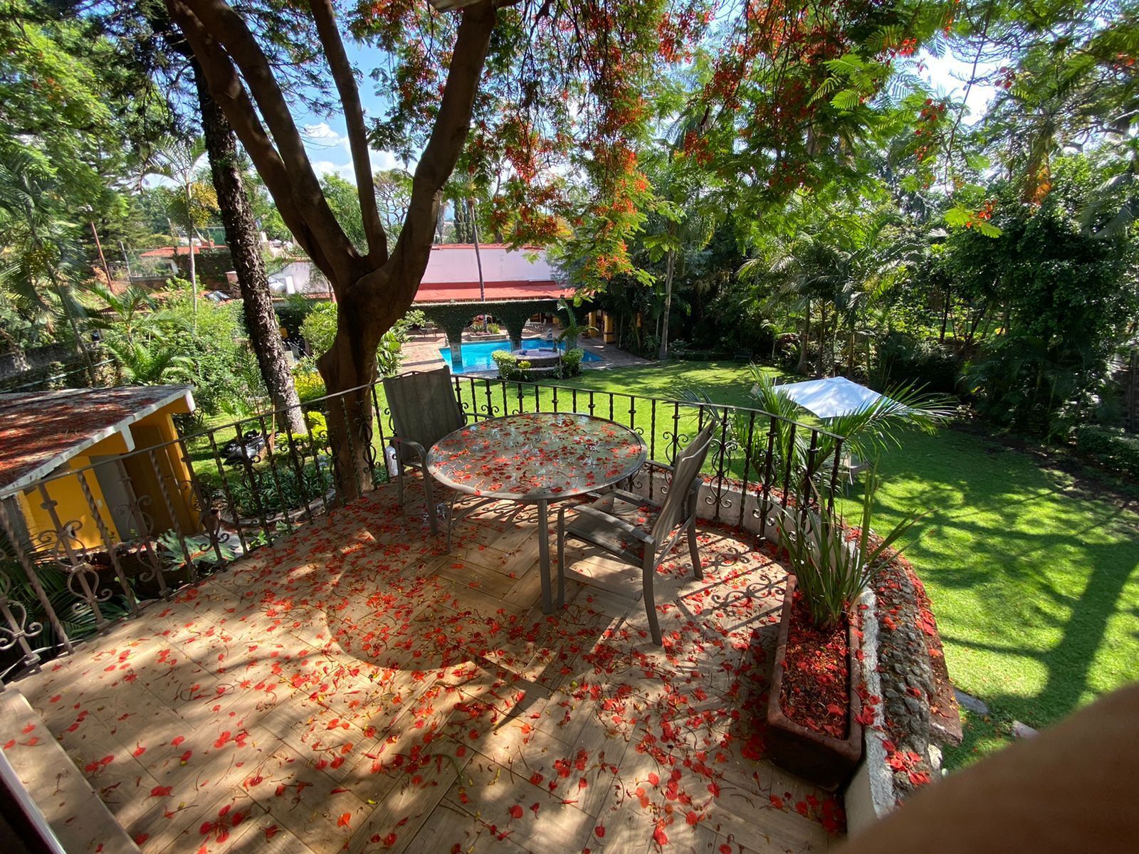 Habitación panorámica, 2 camas Queen size, balcón, vista al jardín (Tabachin) | Terraza o patio