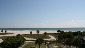 A beach with a clear sky, palm trees, and a sandy path leading to the water.