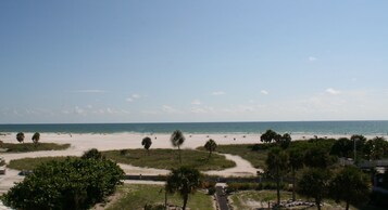A beach with a clear sky, palm trees, and a sandy path leading to the water.