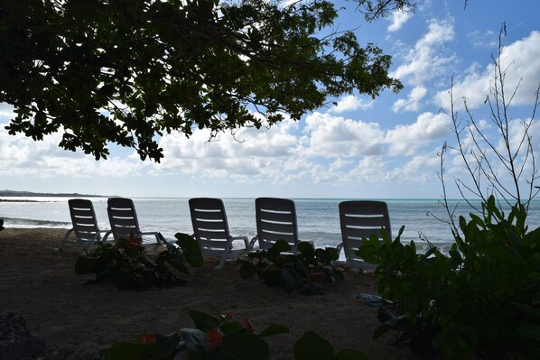 On the beach, sun-loungers, kayaking