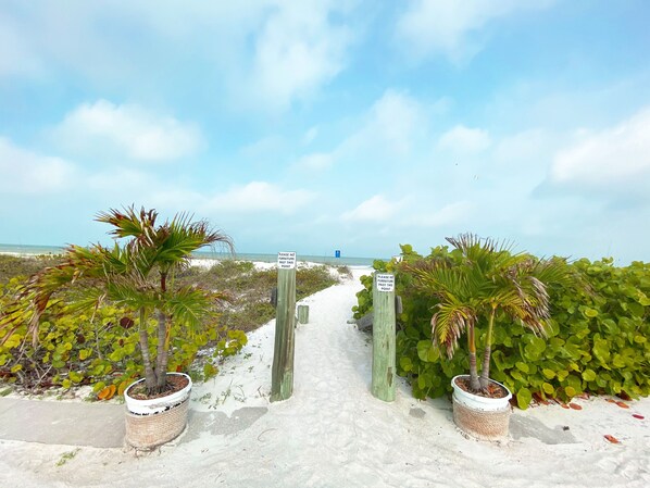 On the beach, fishing - Nautical Watch by Liberté (Belleair Beach)