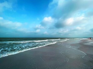 On the beach, fishing - Nautical Watch by Liberté (Belleair Beach)