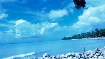 Accommodatie ligt op het strand