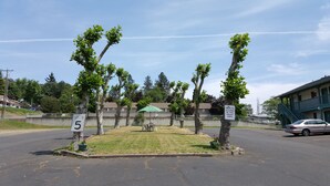 A street with a speed limit sign, a 'No Pets Allowed' sign, and a car parked on the side. - Safari Inn (Winston)