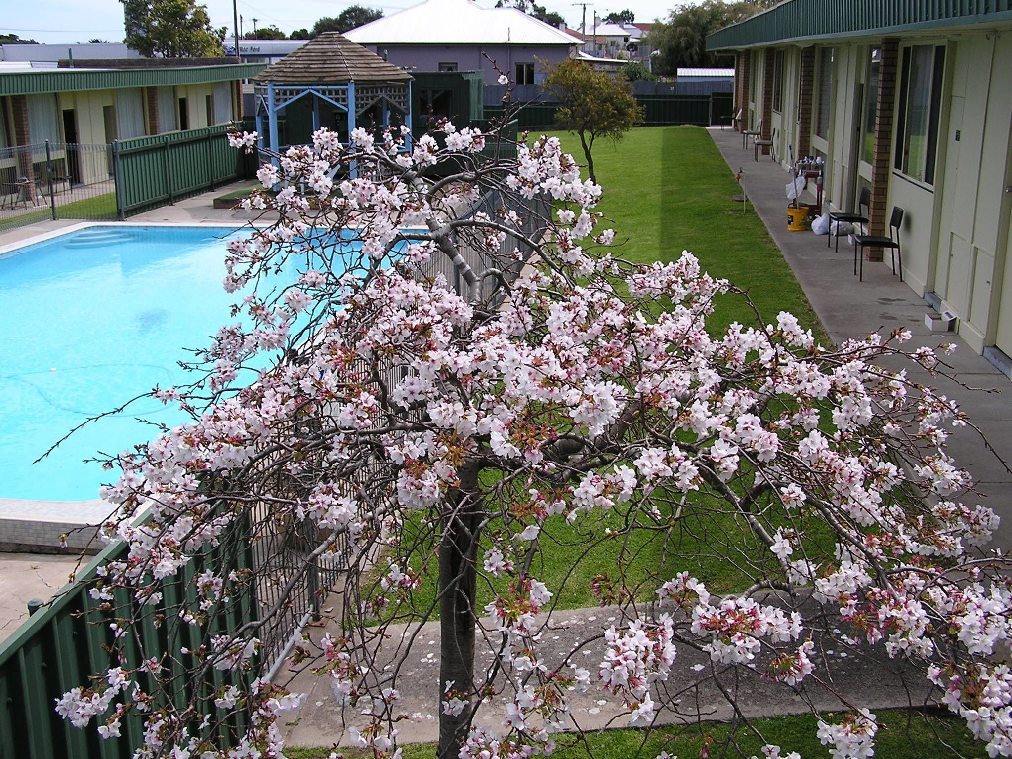 Detalle del exterior